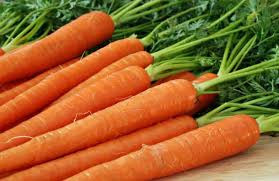 Carrot - Coimex